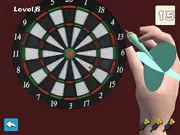 Darts Master