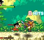 Dragon Ball Fighting