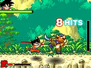 Dragon Ball Fighting