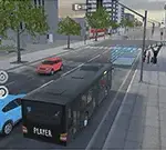 City Bus Driver