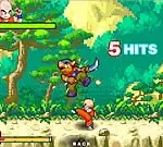 Dragon Ball Fighting 2